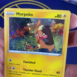 Pokemon Card - Morpeko SWSH116 Balck Star Promo 2021 NM - Image 3