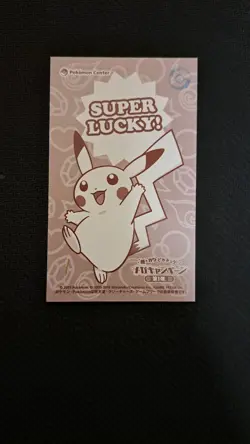 Poncho Pikachu Card Lot File Set Rayquaza Charizard Pokemon Japan Promo Rare - Image 4