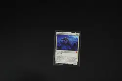 ~ Leonardo, Sewer Samurai ~ NM ~ Teenage Mutant Ninja Turtles ~ MTG ~ - Image 1