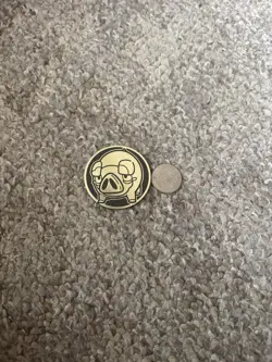 Lechonk TCG Pokemon Coin - Image 1