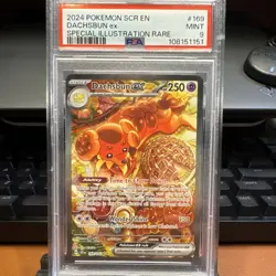 Pokemon Dachsbun ex 169/142 Stellar Crown Special Illustration Rare PSA 9 - Image 1