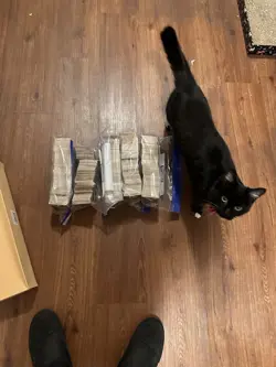 Old Yu-Gi-Oh! TCG Lot Blue-Eyes White Dragon, Wicked Eraser, Cyberdark Edge - Image 1