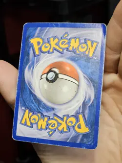 Pokemon TCG Beedrill Skyridge Non Holo Rare 5/144 Damaged - Image 5