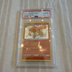 2019 POKEMON SUN & MOON HIDDEN FATES SV7 CHARMELEON-HOLO PSA 10 SHINY - Image 1