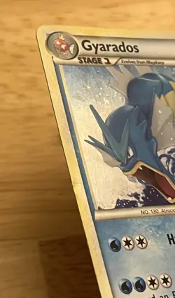 Pokemon Gyarados (4/123) HeartGold SoulSilver HGSS 2010 TCG Card (P12) - Image 4