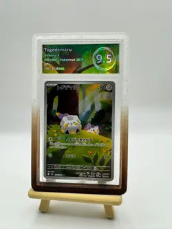 Graded Card Slab Bumper Protector Case for PSA - Image 3