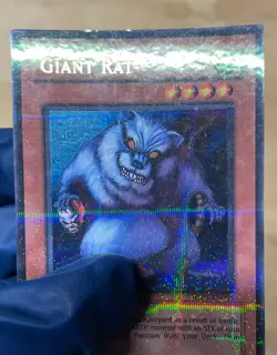 Giant Rat YuGiOh Hobby League 3 #HL03-EN001 2006 MP - Image 3