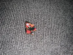 Primal Groudon 2014- Official Pokemon Collectors- Metal Pin - Image 4