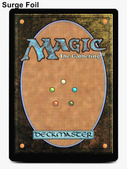 Swamp (Surge Foil) 0312 TMT [Teenage Mutant Ninja Turtles] TMNT MTG NM 💀 - Image 2