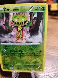 Carnivine 5/113 Legendary Treasures Reverse Holo 2013 Pokemon TCG LP - Image 3