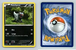 Poochyena #53/119 XY Phantom Forces Common 2014 Pokemon TCG Card - Image 1