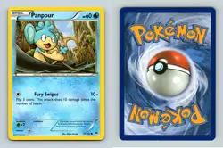 Panpour #41/162 XY Breakthrough Common 2015 Pokemon TCG Card - Image 1