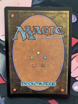 Magic The Gathering - Selfless Safewright 0391 (Showcase) Foil - Lorwyn Eclipsed - Image 4