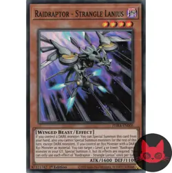 Yugioh Raidraptor - Strangle Lanius PHRA-EN005 Super Rare 1st Edition NM - Image 1