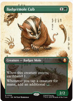 Badgermole Cub Borderless MTG Avatar: TLA Nm/M - Image 1