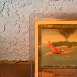 Magic: The Gathering Birds of Paradise Green Creature Card 0/1 Mark Poole - Image 2