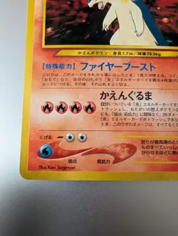 JAPANESE Pokemon Typhlosion Set#157 Neo Genesis HOLO#4 LP Premium File - Image 5