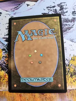 Master Weaver, Web Protector - Arasta Of The Endless Web (Borderless) - MTG - NM - Image 2