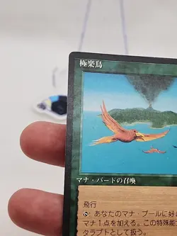Birds of Paradise JAPANESE BETA FBB Revised Black Border MTG Magic *CCGHouse* - Image 5