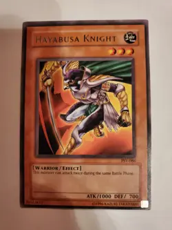 Yu-Gi-Oh! Pharaoh's Servant lightly played 11 card lot. No duplicates. - Image 5