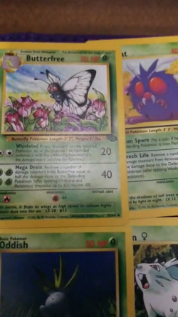 Pokemon Complete Jungle 32 Card Common/Uncommon Set 1999 WOTC Vintage Lot - Image 2