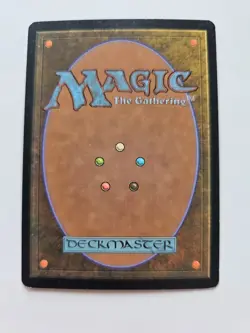 Magic the Gathering (MTG) Haunting Echoes Foil Odyssey LP - Image 2