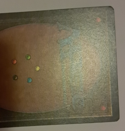 Bird Maiden MP Arabian Nights MTG Magic the Gathering - Image 5