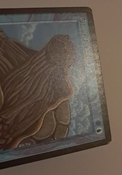Giant Tortoise LP Arabian Nights MTG Magic the Gathering - Image 3