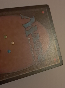 Giant Tortoise LP Arabian Nights MTG Magic the Gathering - Image 5