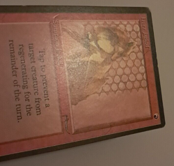 Hurr Jackal LP/MP Arabian Nights MTG Magic the Gathering - Image 3