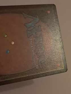 Hurr Jackal LP/MP Arabian Nights MTG Magic the Gathering - Image 5