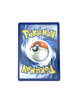 Black Belt’s Training 255/217 Full Art Trainer Pokemon TCG Ascended Heroes NM/M - Image 3