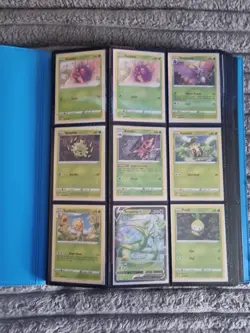 Silver Tempest Pokemon Cards +folder - Image 1