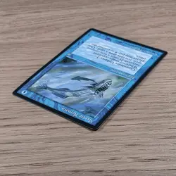 MTG Card - 1x Mystic Remora - Ice Age - LP - Vintage Magic The Gathering 1995 - Image 4