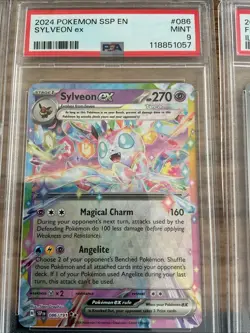 Pokemon TCG Graded Slabs PSA,Ace,AGS 8,9,10 Japanese and English - Image 4