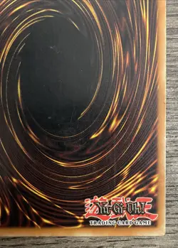 Monster Reincarnation RDS-EN045 Rise of Destiny Unlimited - Image 5