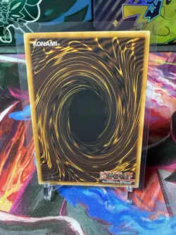 Yu-Gi-Oh! Radiant Typhoon Swen DOOD-EN014 Doom of Dimensions 1st Ed Beast-Warri… - Image 2