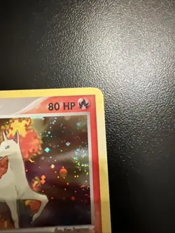 Rapidash 13/112 Holo reverse Rare EX Fire Red Leaf Green Pokemon TCG - Image 5