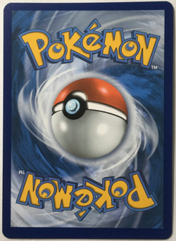 POKEMON SHADOW RIDER CALYREX VMAX 204/198 CHILLING REIGN F/A RAINBOW RARE NM - Image 2