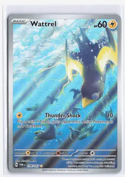 Wattrel IR 178/167 Twilight Masquerade Illustration Rare Holo Pokemon NM - Image 1