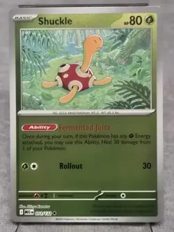 Shuckle 011/132 Uncommon Reverse Holo - Pokemon TCG Mega Evolution - NM - Image 1