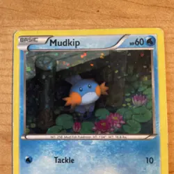 Pokemon TCG Mudkip Holo McDonald's 2015 Promo 5/12 - MP - Image 3