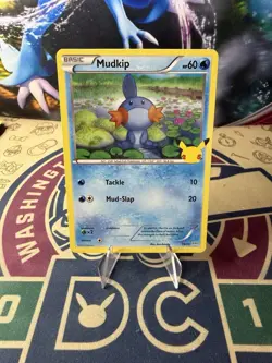 Mudkip 19/25 - Non Holo - Pokemon 25th Anniversary - McDonalds Promo Card - Image 1