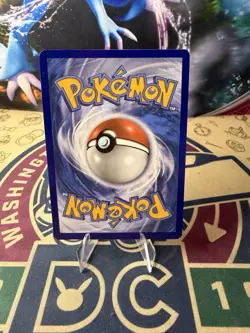 Mudkip 19/25 - Non Holo - Pokemon 25th Anniversary - McDonalds Promo Card - Image 2