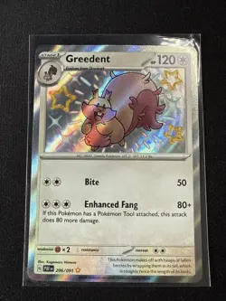 Greedent - 206/091 Paldean Fates Shiny Rare Pokemon - NM/MINT - Image 1
