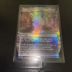 MTG: Lorwyn Eclipsed Hallowed Fountain #347 Borderless Foil Magic The Gathering - Image 1