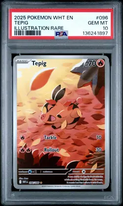 Tepig 096/086 Pokemon White Flare PSA 10 - GEM MINT - Image 1