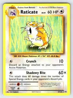 Raticate 67/108 2016 Evolutions Pokemon Card TCG Nintendo Non Holo Rare - VLP - Image 1