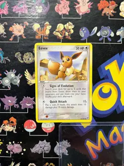 Pokemon Eevee 63/100 Sandstorm Regular Pokemon Common Nintendo Card - NM - Image 1