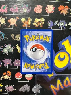 Pokemon Eevee 63/100 Sandstorm Regular Pokemon Common Nintendo Card - NM - Image 2